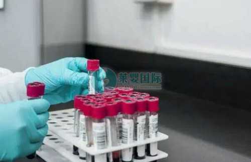 南昌借腹生子机构_x9DiL_iZW1S_女儿突发白血病，离婚父母违背伦理，为脐带血被