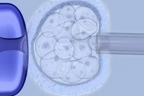 南昌能做供卵生孩子吗_519u4_y4366_血常规中血红蛋白低到多少范围内就算地贫？