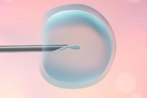 南昌三代试管代孕聪明吗_I4653_87394_两步移植法移植两个胚胎成双胞胎的多吗？