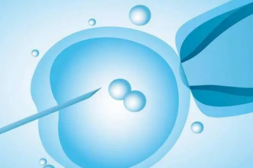 南昌三次胚胎停育可以找代孕吗|68p0p_准备500元给胎儿做地贫筛查够了吗?_173