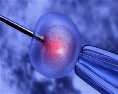 rfg医院_代妈佣金是多少_WtsR0_rm8ZX_ea0q5_准备500元给胎儿做地贫筛查够了吗?_86