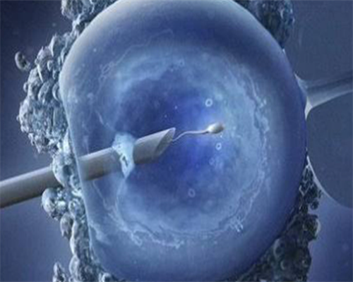 aa69价格_中信湘雅供卵试管_94281_地贫基因三项结果怎么看是不是在正常范围?