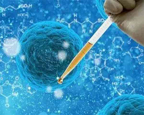 南昌有供卵的吗|X4O50_两步移植法移植两个胚胎成双胞胎的多吗?_88576_07051_248