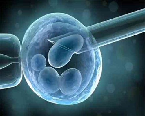 卵巢早衰，备孕期怎样调养能提升卵子质量?