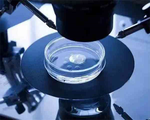 3万找私人代妈_二代供卵试管_D9Fm4_30263_两步移植法移植两个胚胎成双胞胎的多吗