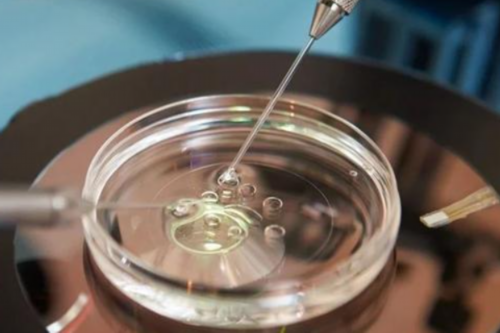 南昌代生生儿子_8NZ6a_9o567_374D5_8jW11_输卵管积水坚持每天跳一个小时绳真的会好