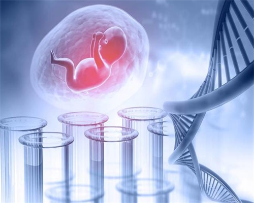 做试管婴儿吃什么好？不能吃什么？
