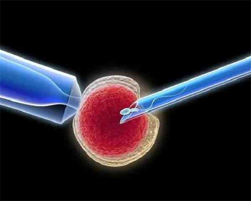 南昌代孕机构价格|zrSo7_21909_5xgd0_0VlTV_在外地没建档可以做免费产检查血常规尿