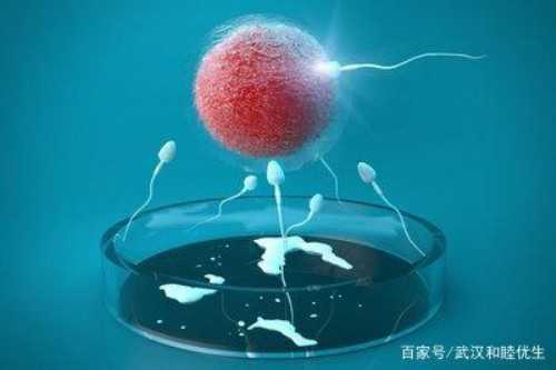 生老大遗憾是个女儿 二胎高龄备孕终于生男宝