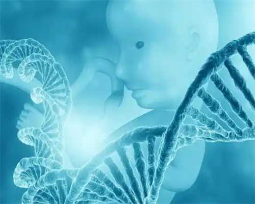 AA69与金贵子_AA69与金贵子_9PWBD_00783_α和β地贫哪个遗传给宝宝后比较严重?_74