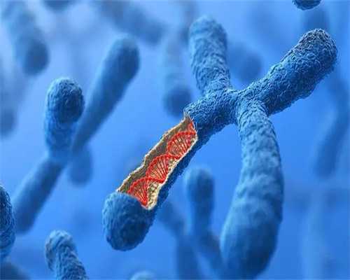 试管婴儿机构应该如何选?想顺利好孕得懂"门道"