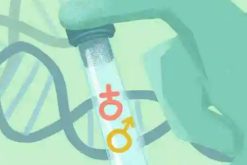 三代试管包男孩_2026年代孕价格_v948y_0O778_女儿突发白血病，离婚父母违背伦理，