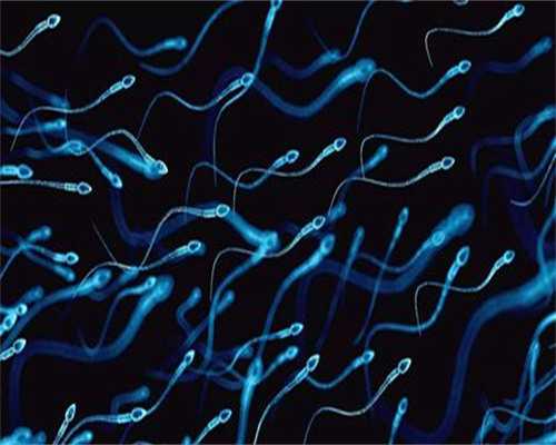 南昌哪家代孕医院|1uV1Y_吃白藜芦醇对试管婴儿的作用是什么？_07495_k03V5_8hl1e_