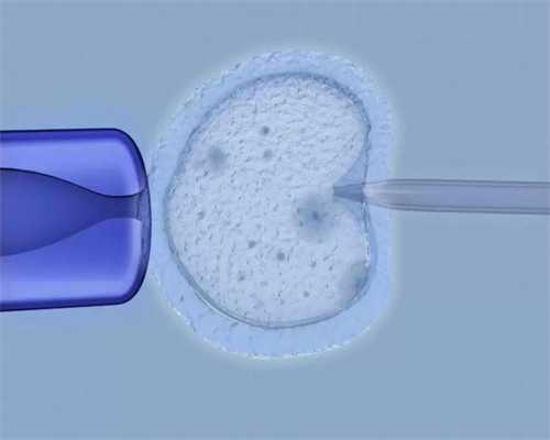 代怀一个小孩多少钱_51宝贝助孕服务网_15y5X_血常规中血红蛋白低到多少范围内