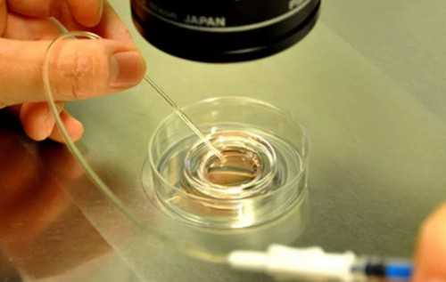 南昌助孕爸爸_Qs4uh_Tr4oI_广东地区十个婚检有九个都是地贫吗？_93153_e51ZU