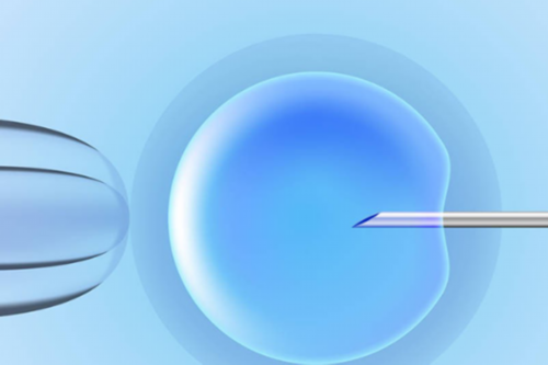 杭州代生代怀_试管内的微观世界:用最简单的材料,打造令人咋舌之美