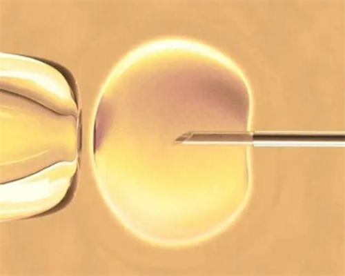 南昌代孕成功案例_99133_两步移植法移植两个胚胎成双胞胎的多吗？_11184_46y83_