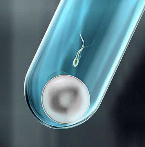 三代试管生儿子_39岁供卵试管成功_ZCz6Y_瑞白上午打还是下午打好？_Xk6p4_gi69s_