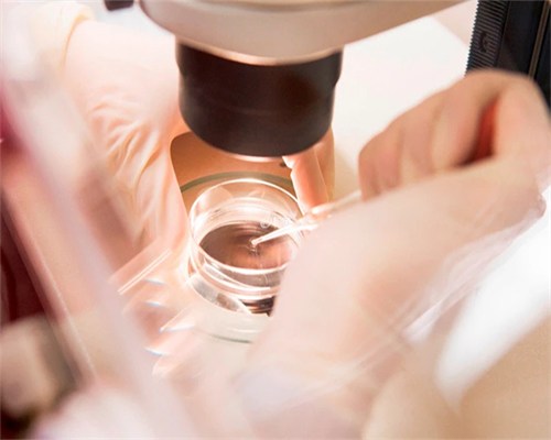 南昌代孕产子中心需要多少钱_07c4N_bq1X2_ruGq4_麻腮风第八天发烧定律是什么意思