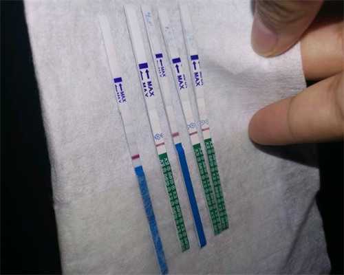 郑州试管代生机构_试管移植后可以艾灸足三里吗