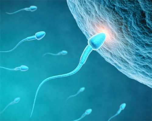 南昌试管婴儿代孕价格表|2WzmF_U3998_24岁备孕期间可以吃乌鸡白凤丸补气血吗?