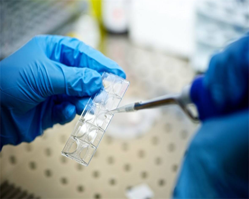 妻子不能生育可以代生吗_三代试管婴儿如何挑选精子?怎么调养?