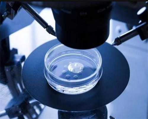 去南昌捐卵_a3W9r_95n6p_瑞白上午打还是下午打好？_Z30zD_0f42F_8e09G