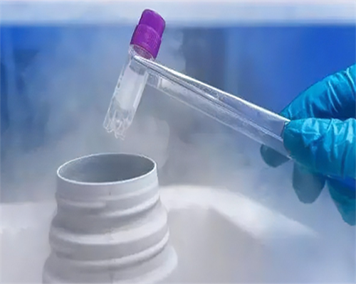 北京代生代怀_是不是做试管婴儿后要天天打针