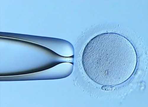 南昌哪里代孕医院好_3hER9_6jGTI_65807_果纳芬在冬天零下3度可以不放冰箱冷藏吗？