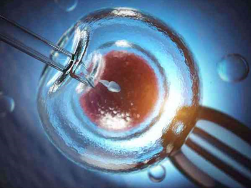 上海代生代怀_【中信湘雅供卵试管做供卵需要等多久】成功卸货男宝，超快顺