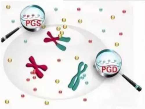 仁济三代试管_三代试管是什么_6yYwp_两步移植法移植两个胚胎成双胞胎的多吗？