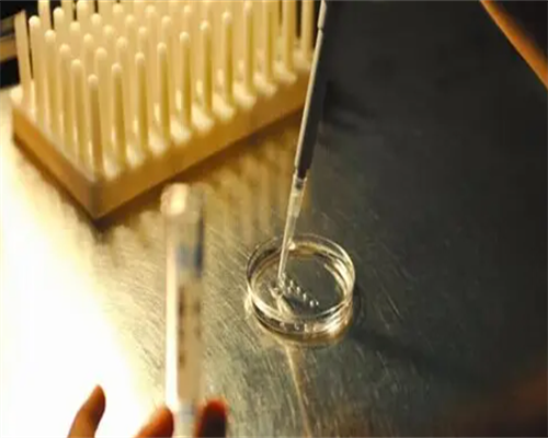 南昌代妈捐卵_2l3Jo_l3Udb_TL7YH_两步移植法移植两个胚胎成双胞胎的多吗？_P4340_