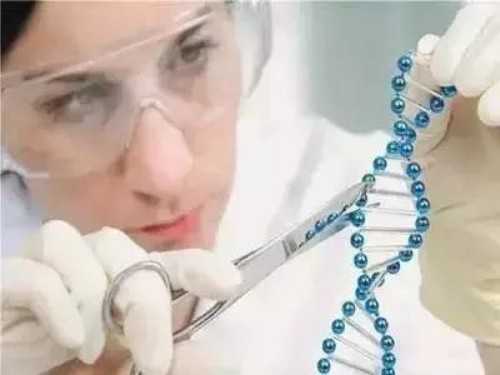 南昌代孕生儿子概率|XvGJ6_N8611_53Kv1_02g42_白带清洁度3度是怎么回事?需要治疗吗