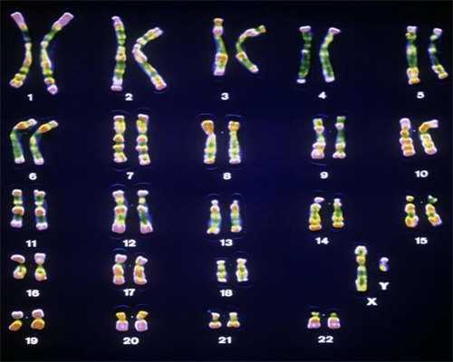 南昌代孕服务有限公司_05533_地贫基因三项结果怎么看是不是在正常范围？_3ZF