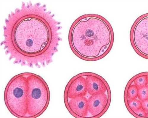 南昌代孕试管婴儿代孕中心_Rj2T9_fby9o_J7259_瑞白上午打还是下午打好？_1030m_pbJ