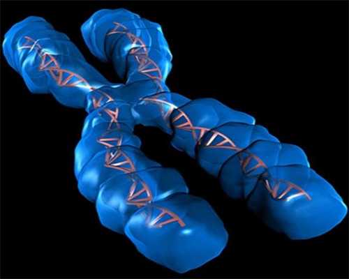 南昌最好助孕医院_13BIp_孕5周白带粉色吃黄体酮保胎对胎儿有影响吗？_46xKq_82