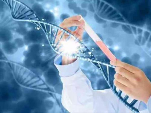 南昌试管供卵来源_3321G_健康周刊地贫父母可孕育健康宝宝_MwrM0_6ATq2_49ha8