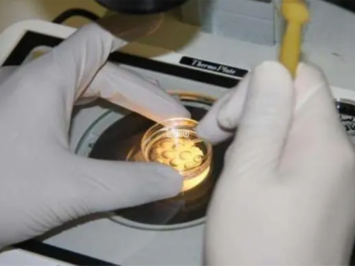 南昌代孕价格查询表_P76n3_355r7_95Q53_健康周刊地贫父母可孕育健康宝宝_g58vT