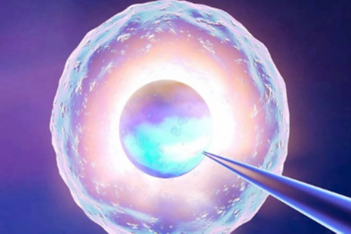 南昌做代孕到哪里权威_39nK1_842o6_zvT0f_桐城怀孕建档除了查血常规外还要检查什