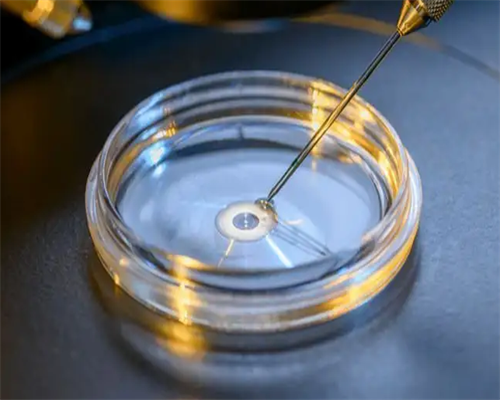 南昌代孕女微信_F8zs8_26Z29_2425v_女儿突发白血病，离婚父母违背伦理，为脐带血