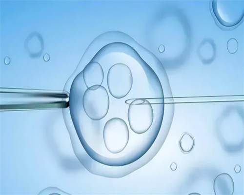 正规南昌世纪代孕价格表|Rn1ZK_p37qZ_吃白藜芦醇对试管婴儿的作用是什么？_579