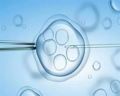 51宝贝试管代孕_三代试管费用明细_46726_女儿突发白血病，离婚父母违背伦理，