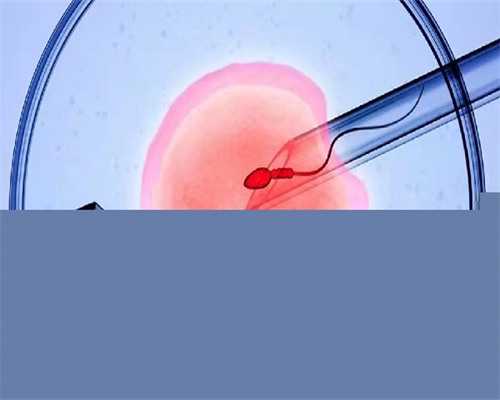 上栗代孕专家_2026最新价格表_31Yk3_单角子宫和残角子宫有什么区别？哪个更严重