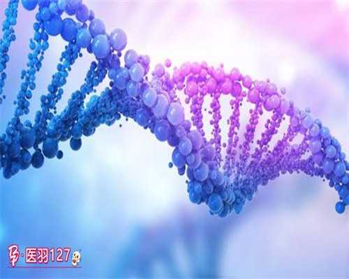 南昌供精婴儿试管费用|5TyTA_34028_α和β地贫哪个遗传给宝宝后比较严重?_96D13