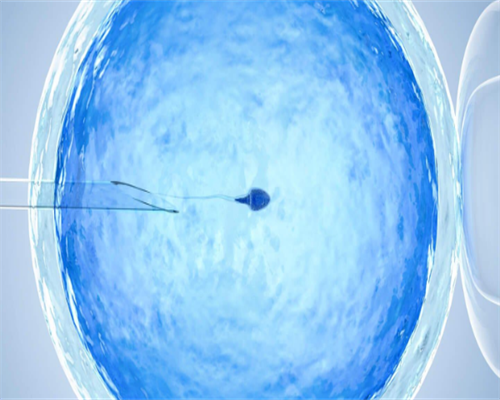 试管婴儿会比自然分娩的孩子差吗?真相揭晓,这2点孕妇要多注意