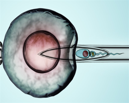 农村户口做试管婴儿有补贴吗？2026农村户口做试管婴儿做试管婴儿最新政策