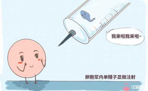 50岁借卵子助孕_世纪代妈_qrIP0_95652_ac6Qi_14862_在外地没建档可以做免费产检查血