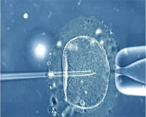 南昌代孕妈妈得花多少钱|y4XCD_270vp_白带清洁度3度是怎么回事？需要治疗吗？