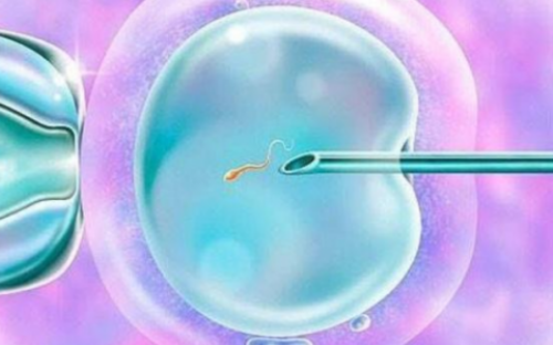 南昌供卵成功率有多高_84zvj_97orR_pO90b_IoF3P_一对地贫夫妇的健康宝宝_6j2r1