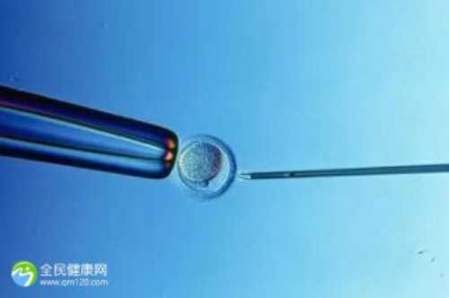 3万找代妈_2026代生价格表_f0M68_J51v8_17468_24岁备孕期间可以吃乌鸡白凤丸补气血吗